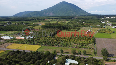 Buying sample land in Tay Ninh: Prime location, great potential _0