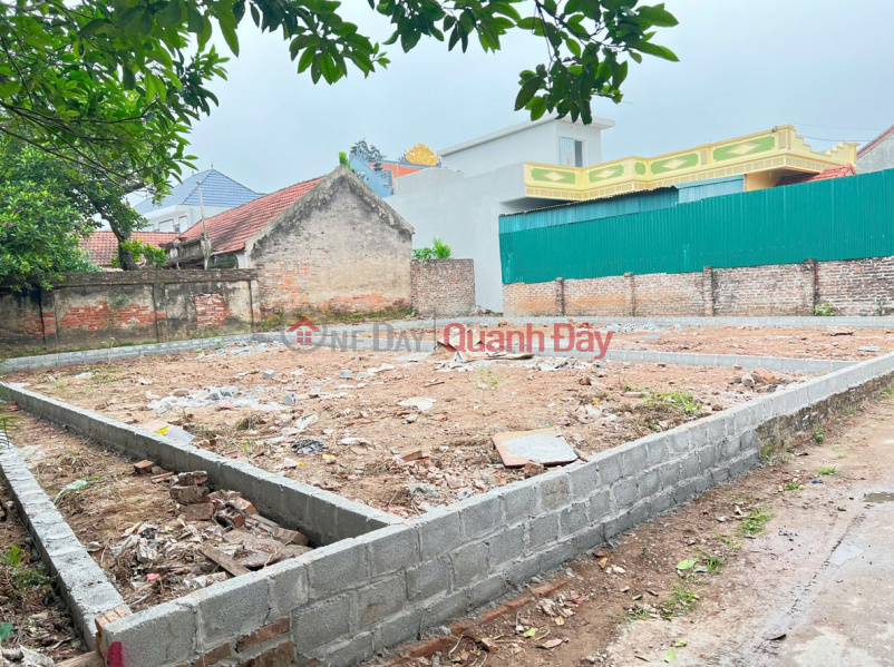 HOT - OWN A PLOT OF LAND (FO) - Prime location in Phu Trach, Thong Nhat - Price only 3x million VND per square meter Sales Listings