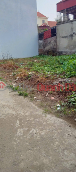 Property Search Vietnam | OneDay | Nhà ở Niêm yết bán, CHÍNH CHỦ BÁN ĐẤT TRÀNG MINH - Gần đường ô tô - Giá hợp lý - Vị trí đẹp tại Tràng Minh, Kiến An