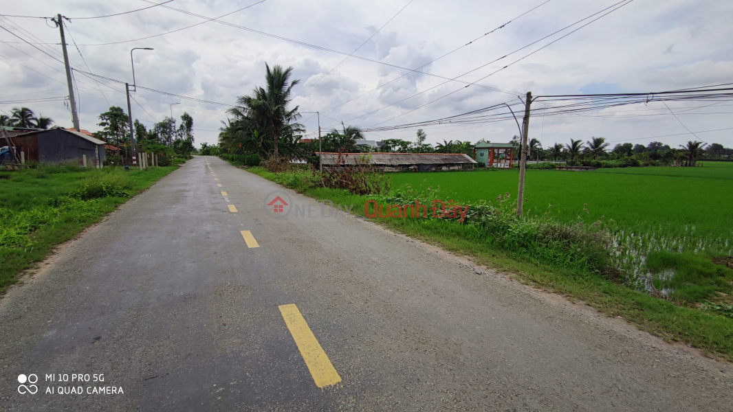 Property Search Vietnam | OneDay | Residential Sales Listings Urgent sale of rice plot to transfer land in front of Provincial Road for 130 million m