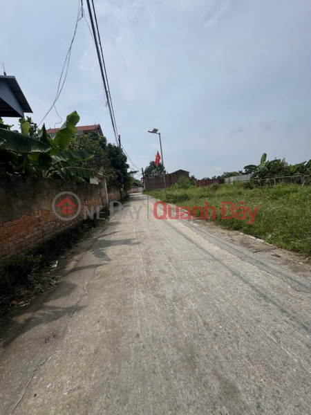 Mở Bán Lô Đẹp Thôn Xuân Sơn Trung Giã Sóc Sơn 87.2m2 - Đường trục chính thông ô tô tránh, Việt Nam Bán, đ 1,79 tỷ