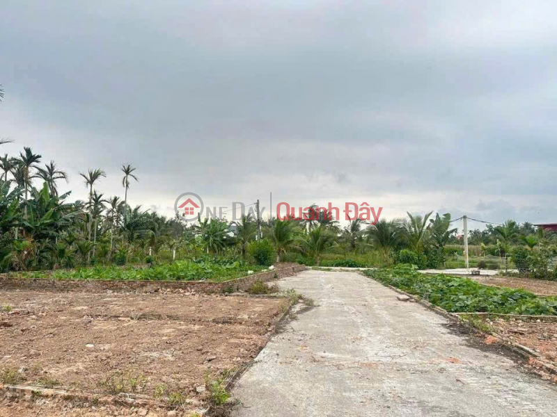 Land with cars available - Tan Phong Center, Kien Thuy Price is only slightly over 6xx million ZALO 0567 222 555 | Vietnam Sales, đ 630 Million