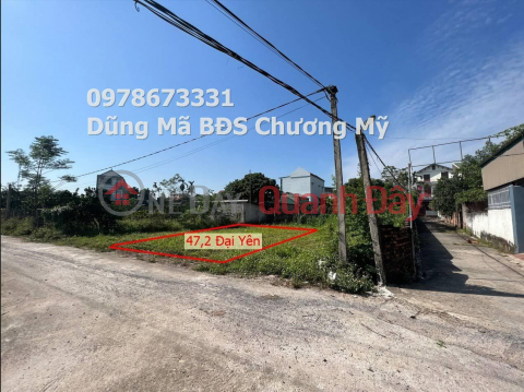 PRICE ONLY 1TY3 TO OWN BEAUTIFUL LOT OF LAND AT DAI YEN-CHUONG MY _0