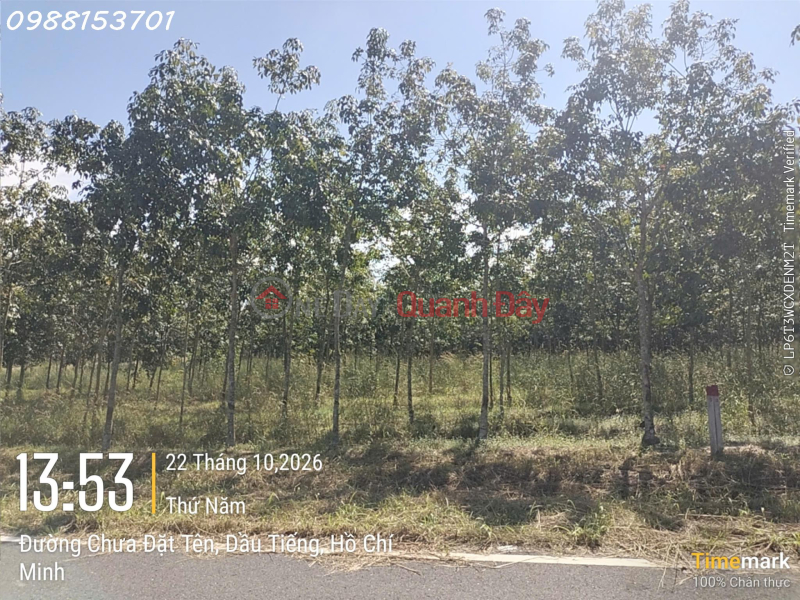 đ 2,55 tỷ Bán đất đẹp tại Ấp Yên Ngựa, ĐT 744, Định Thành, Dầu Tiếng, 2,55 tỷ, DT 251m2