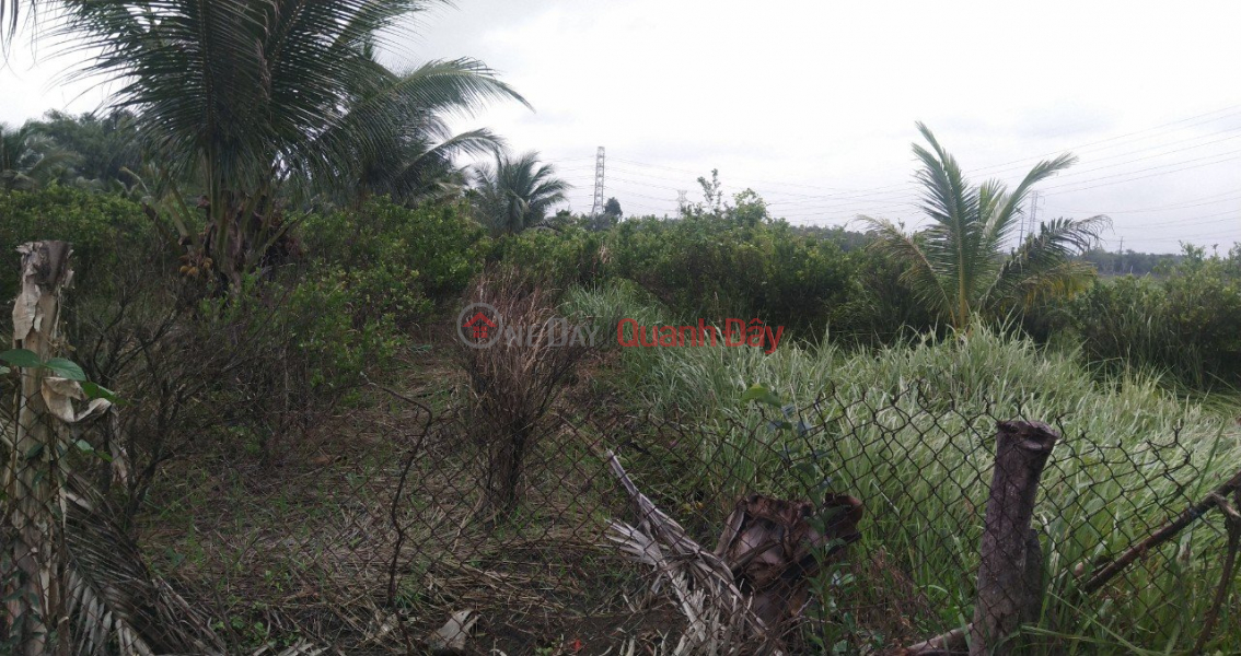 BEAUTIFUL LAND - SHOCKING PRICE - OWNER Land Lot for Sale in Phuoc Khanh Commune, Nhon Trach, Dong Nai | Vietnam Sales đ 4.18 Billion