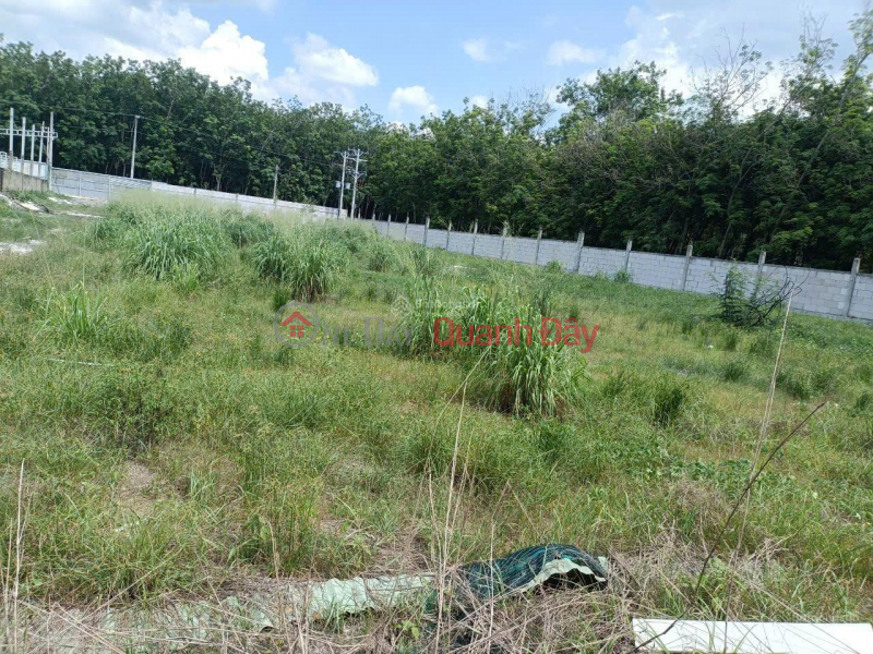 OWNER SELLING 4,714.6M2 LAND WITH TITLE DEED RIGHT AT THE GATE OF MINH HUNG III INDUSTRIAL PARK Sales Listings