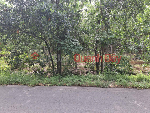 Beautiful Land - Good Price - Owner Needs to Sell Land Plot Quickly in Binh Minh, Tay Ninh Town _0