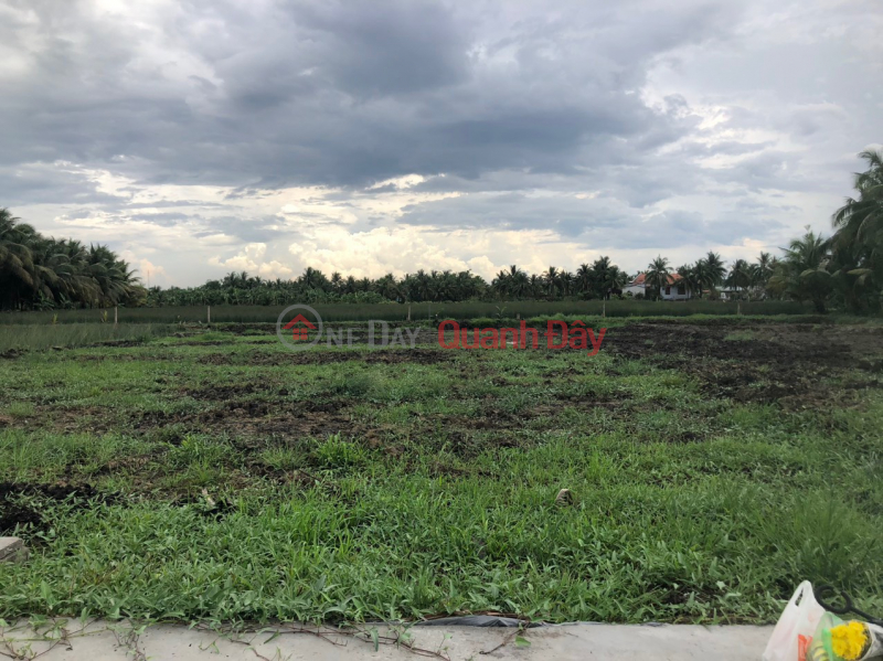 GARDEN LAND FOR SALE BY OWNER At Road DT878, Tan Hoa Thanh Commune, Tan Phuoc District, Tien Giang Sales Listings