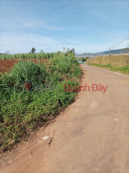 Beautiful Land - Good Price - Owner Needs to Sell Land Lot in Nice Location in the Central Area of Quang Lap Commune Sales Listings