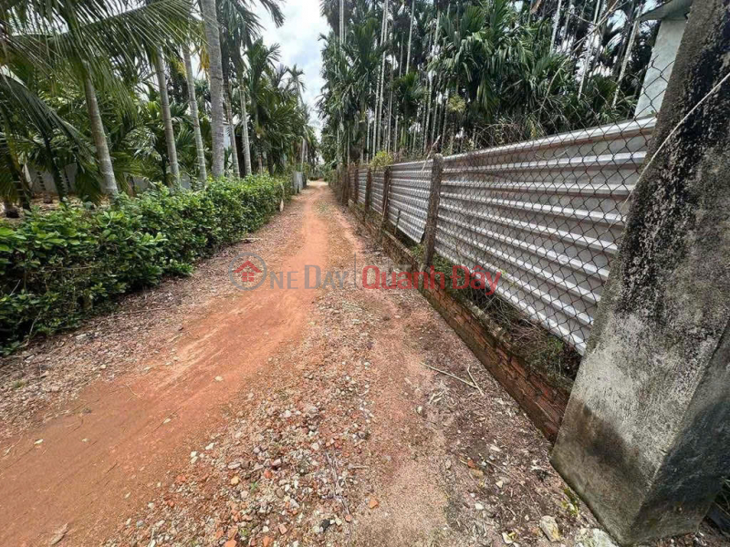 HOT HOT – OWNER NEEDS TO SELL RESIDENTIAL LAND ON NGO SY LIEN STREET, VO XU TOWN, DUC LINH CITY, BINH THUAN PROVINCE. Vietnam | Sales, đ 470 Million