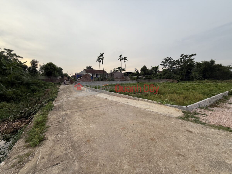 Property Search Vietnam | OneDay | Nhà ở Niêm yết bán | CHÍNH CHỦ CẦN BÁN LÔ ĐẤT 87,4M TẠI TRẦN PHÚ-CHƯƠNG MỸ-HÀ NỘI