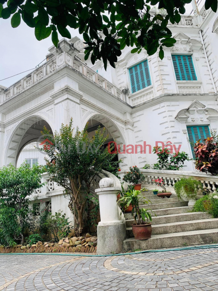 Property Search Vietnam | OneDay | Residential, Sales Listings | Long Bien super villa 1500m x 4 floors, 38m frontage, European architecture, free furniture