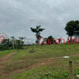 BEAUTIFUL LAND FOR SALE 1HA4 FLAT LAND IN EAPO, CU JUT, DAK NONG - CAR ON THE LAND _0