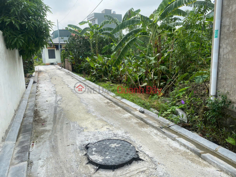 BÁN ĐẤT 192.6M2 THÔN XUÂN NỘN ĐÔNG ANH - Ô TÔ VÀO ĐẤT - GIÁ 5X MẦM NON | Việt Nam, Bán | đ 10,02 tỷ