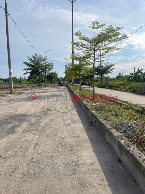 (OWNER) Urgent Sale of Land Plot in My Thu, Vinh Hong Commune, Binh Giang District, Hai Duong Province _0