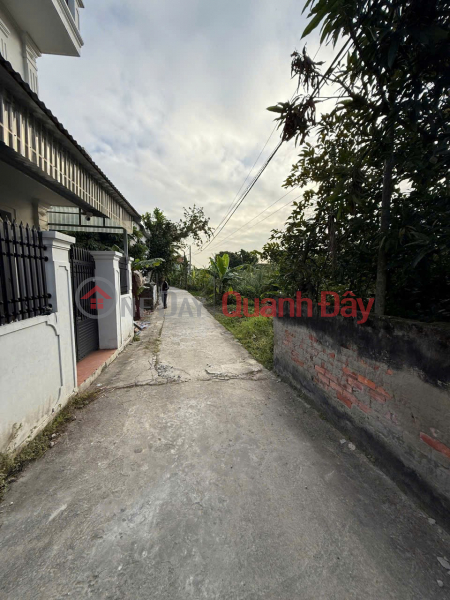 5xx TRIỆU – LÔ ĐẤT HOÀ NGHĨA DƯƠNG KINH – GẦN SÔNG – TẦM TIỀN HIẾM ZALO 0567 222 555, Việt Nam Bán | đ 565 triệu