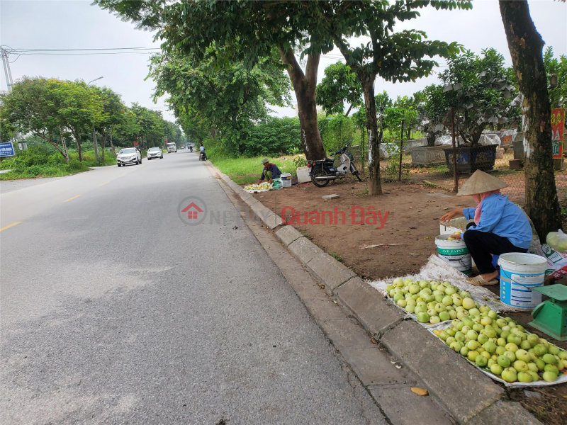 55m2 Tien Duong next to international school, big, beautiful road, good price, Vietnam | Sales, đ 45 Million