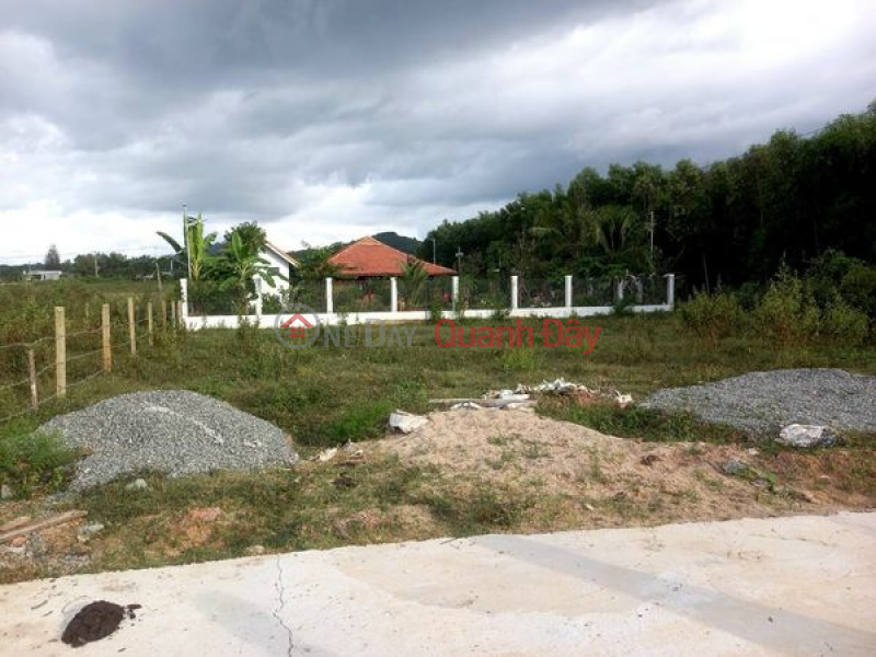 Property Search Vietnam | OneDay | Residential, Sales Listings Selling 2 lots of land near the river bank, concrete road frontage of Song Cau - Khanh Vinh!!!