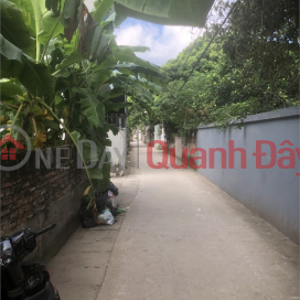 need to sell quickly 51.3m of land with truck road only 9xx million - Phung Chau Chuong My _0