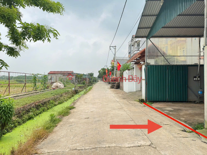 Property Search Vietnam | OneDay | Nhà ở, Niêm yết bán, Bán đất Tiền Phong, Mê Linh, HN. Bìa làng, đường thông, oto tránh, view KDT