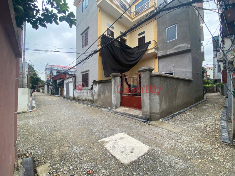 Property Search Vietnam | OneDay | Residential, Sales Listings | LAND FOR SALE 49M2 IN UY NO, DONG ANH - SUPER BEAUTIFUL CENTRAL LOCATION