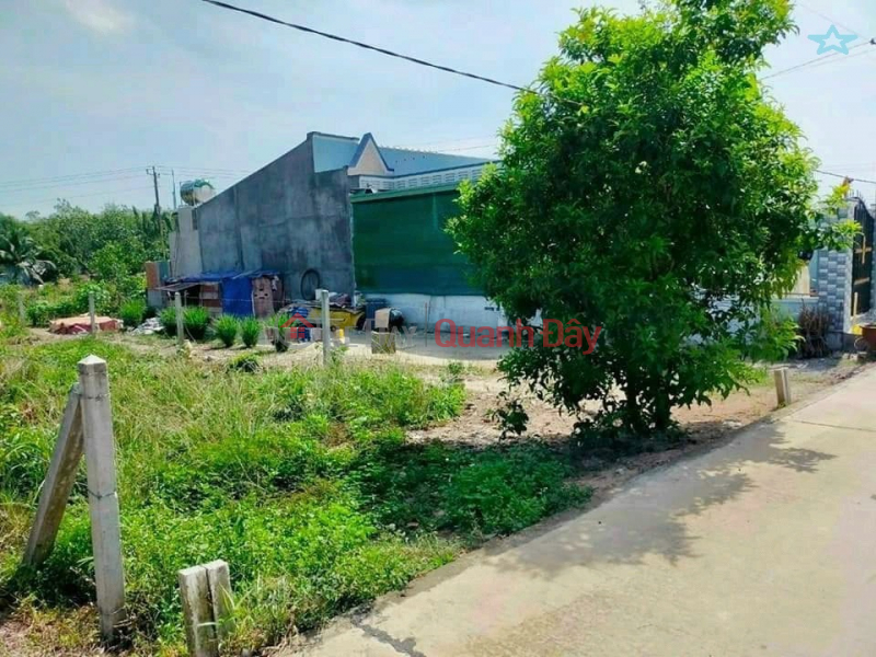 Bank-affected Owner Needs to Sell Chan Thanh Land Close to Industrial Park, Vietnam Sales đ 250 Million