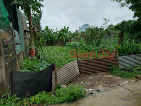 Owner Needs to Sell Land Plot on National Highway 56, Suoi Nghe Commune, Chau Duc District, Ba Ria - Vung Tau. _0