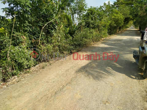 BEAUTIFUL LAND - GOOD PRICE - For Quick Sale Land Lot Prime Location In An Nong Commune, Tinh Bien Town, An Giang _0