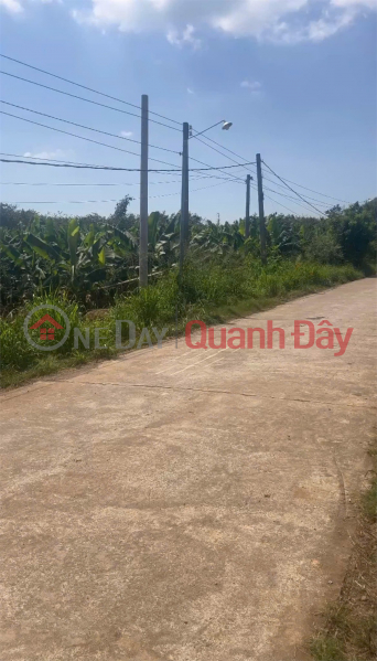 đ 650 triệu | ĐẤT NỀN THỔ CƯ - GIÁ TỐT - tại xã Phú Tân, huyện Định Quán, tỉnh Đồng Nai