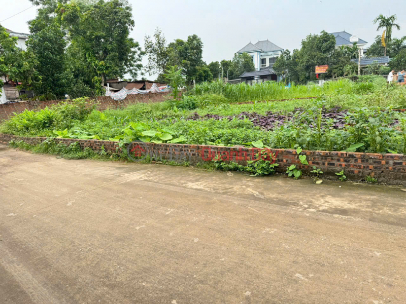 Property Search Vietnam | OneDay | Residential | Sales Listings Land for sale in Van Noi, Dong Anh. Land located right on Van Tri street, beautiful business frontage
