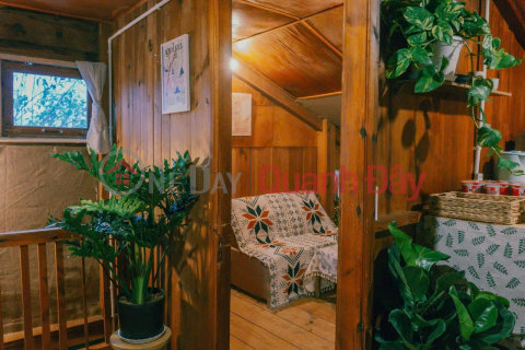 CẦN SANG HOMESTAY NHÀ GỖ SIÊU CHILL ĐÀ LẠT – ĐƯỜNG CAO BÁ QUÁT, P7, Đà Lạt Lâm Đồng _0