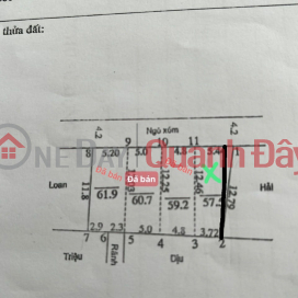 Consignment for sale of 57.5m2, in Lang hamlet, Dai Yen, Chuong My, Hanoi, but only charged for an area of more than 46m2, mt. _0