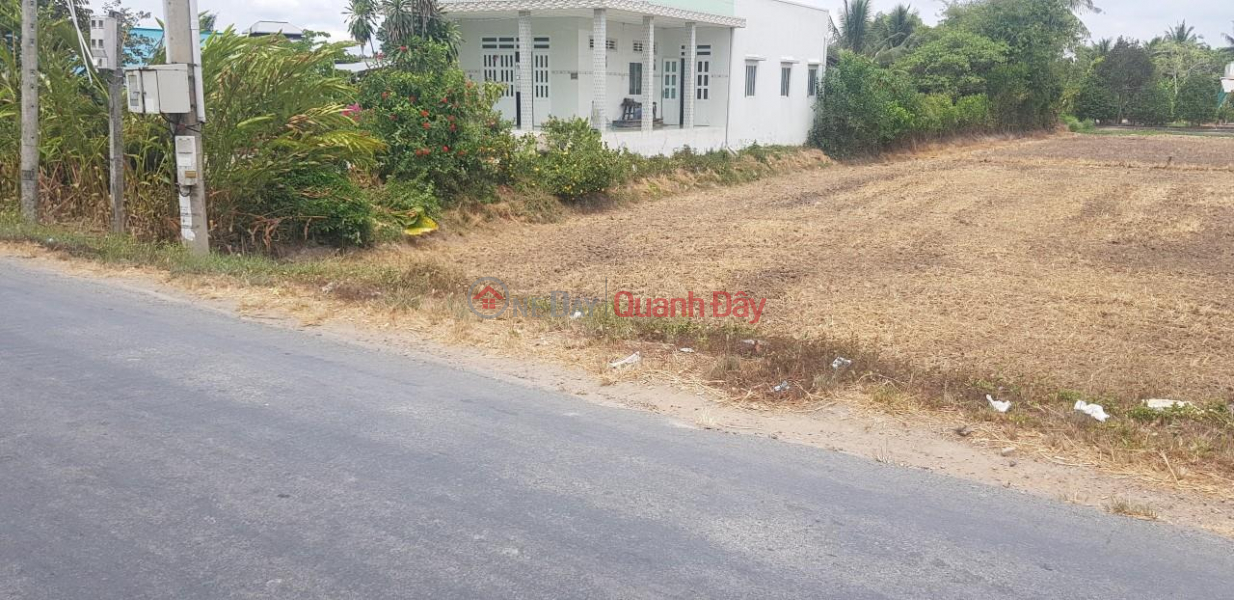 BEAUTIFUL LAND - GOOD PRICE - Owner Needs to Sell Land Lot FRONT FACE in My Phu Commune, Thu Thua, Long An Sales Listings