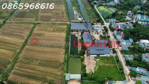 Transfer of VietGap safe agricultural project in Kim Phu, Tuyen Quang City (close to DanKo Kim Phu Urban Area) _0