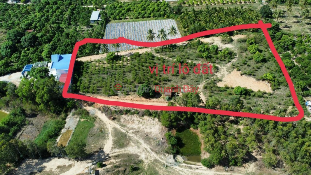 đ 11 Billion | HOT!!! Own a Beautiful Land Lot, Prime Location In Cam Ranh City, Khanh Hoa