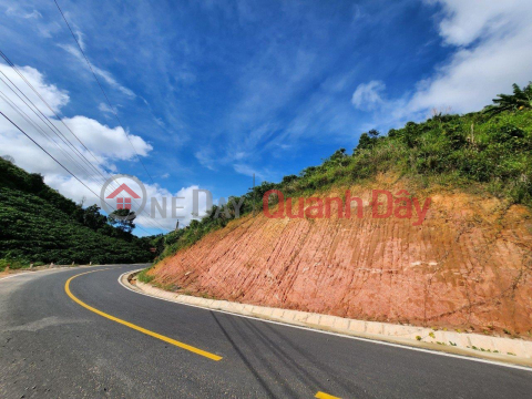 Own a SUPER BEAUTIFUL LAND LOT INVESTMENT PRICE In Village 2, Da K'Nang Commune, Dam Rong District, Lam Dong. _0