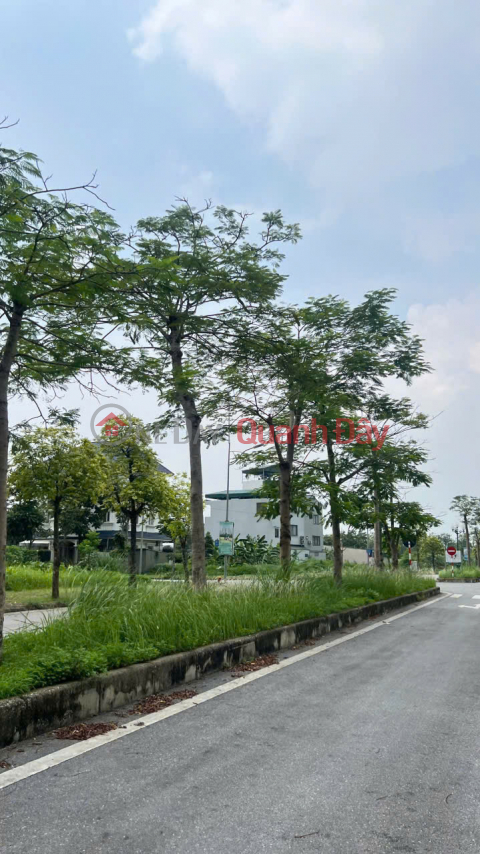 Tien Tan Lao Cau land, area 245m2 (849-4617272033)_0