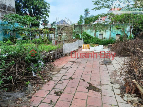 Land for sale next to Highway 36 extension, Bang An, Que Vo, Bac Ninh _0