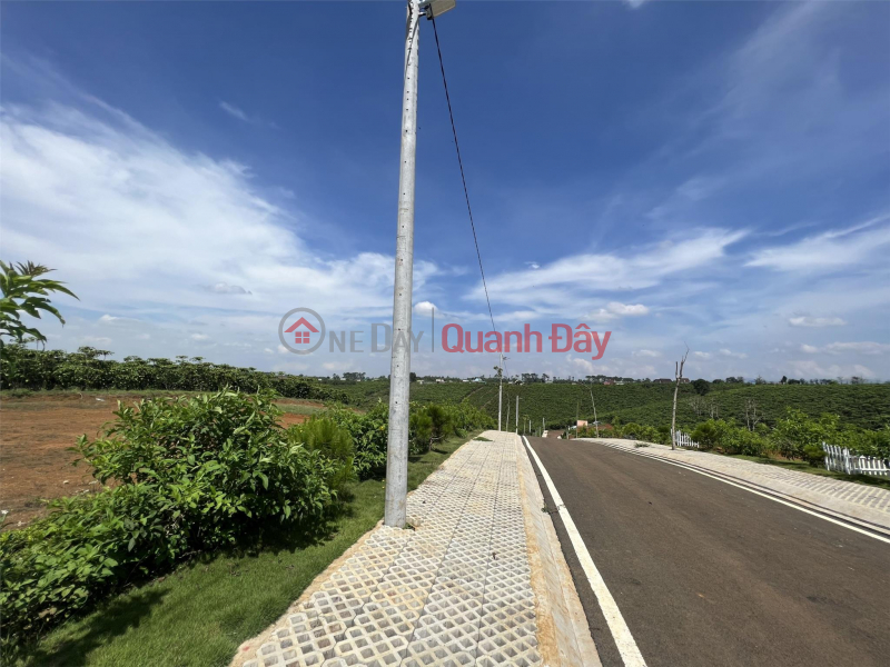 Property Search Vietnam | OneDay | Residential | Sales Listings | BEAUTIFUL LAND - GOOD PRICE - Land Lot For Sale Prime Location In Loc Ngai Commune, Bao Lam District, Lam Dong