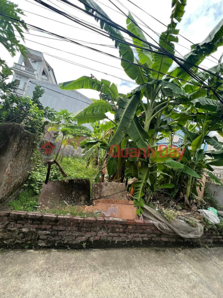 ANGLE Plot, OTO AVOID, LEVEL AREA. AT DISTRICT 96M, AREA OF POTENTIAL POTENTIAL, Vietnam | Sales | đ 4.5 Billion