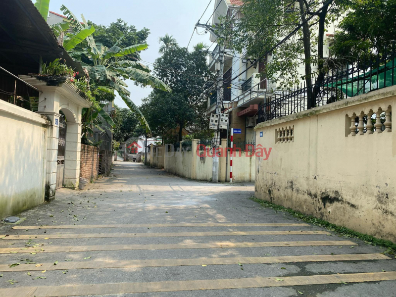 BÁN ĐẤT NGỌC ĐỘNG – BÁT TRÀNG 50M² 2 MẶT THOÁNG Ô TÔ VÀO TẬN ĐẤT, Việt Nam Bán đ 4,2 tỷ