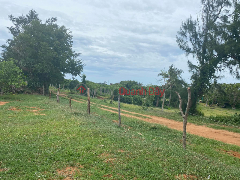 BEAUTIFUL LAND - GOOD PRICE - For Quick Sale Land Lot Prime Location In Phu Quy District Vietnam | Sales, ₫ 1.6 Billion