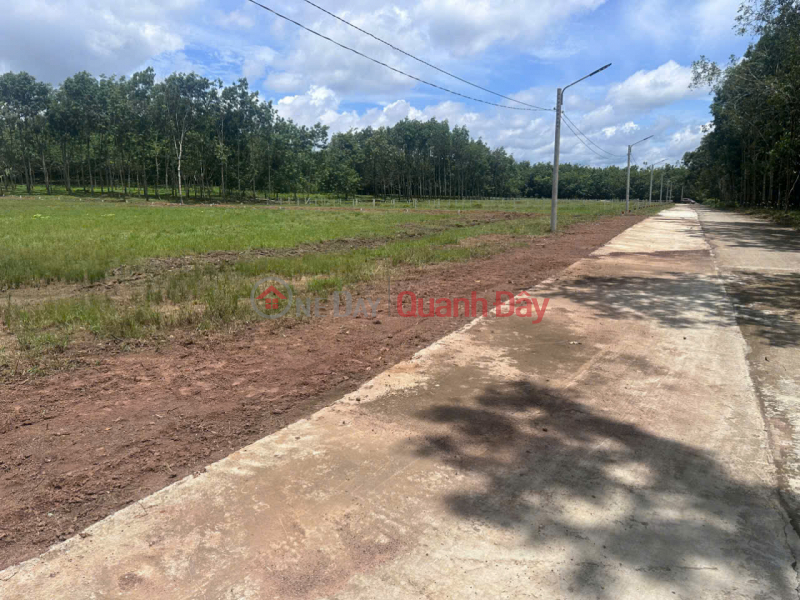 Property Search Vietnam | OneDay | Residential, Sales Listings BEAUTIFUL LAND – VERY GOOD PRICE – LAND FOR SALE IN Loc Ninh District, Binh Phuoc Province