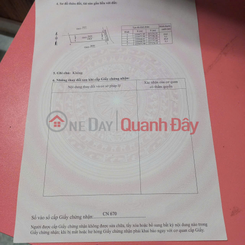 HOT HOT – CHEAP LAND – OWNER NEEDS TO SELL A PLOT OF LAND in Dinh Tan Hamlet, Vinh Thanh Town, Vinh Thanh District, Binh Dinh Province _0