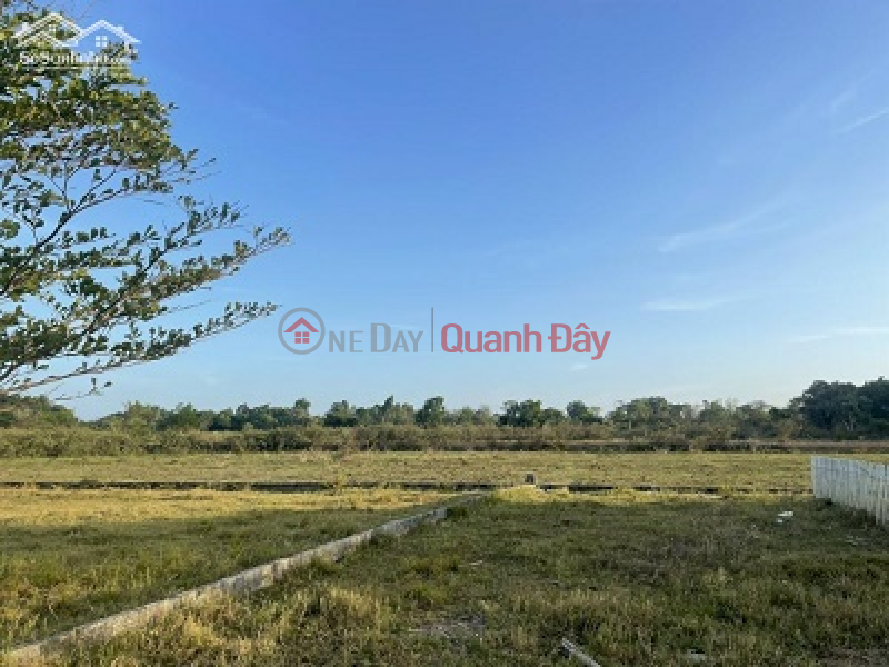 Property Search Vietnam | OneDay | Cho thuê, Niêm yết cho thuê, CHO THUÊ 3 Ha ĐẤT HỒ TRÀM - BÌNH CHÂU KINH DOANH GLAMPING - CAMPING- HOMESTAY - TRẢI NGHIỆM..