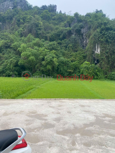 BÁN LÔ ĐẤT ĐẸP GIÁ TỐT TẠI THÔN CHÂU DỀ, XÃ CAO DƯƠNG, LƯƠNG SƠN, HÒA BÌNH _0