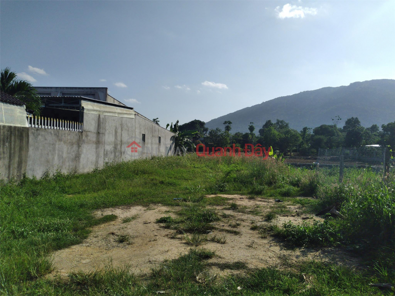 Owner Needs to Urgently Sell Land Plot, Nice Location, Bau Gia Lo Street, Xuan Truong Commune, Xuan Loc District, Dong Nai Sales Listings