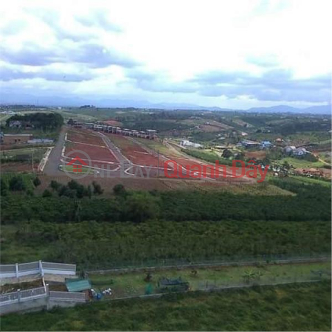 BEAUTIFUL LAND - GOOD PRICE - Land Lot For Sale Prime Location In Loc Quang Commune, Bao Lam District, Lam Dong _0