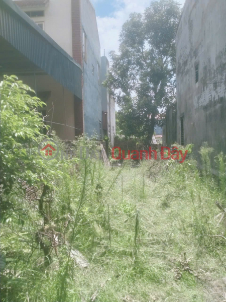 BEAUTIFUL LAND - GOOD PRICE - URGENTLY SELLING A PLOT OF POTENTIAL LAND AT Ngoc Lap STREET - Hung Yen | Vietnam, Sales | đ 10 Million