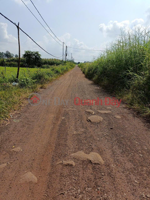 Chính Chủ - Giá Tốt - Cần Bán Đất Tại Xã Hòa Khánh, Buôn Ma Thuột, Đắk Lắk _0